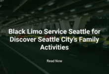 Black Limo Service Seattle For Discover Seattle City Family Activities