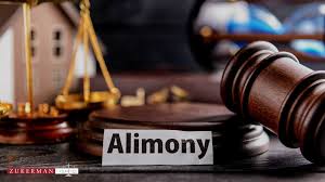 Navigating Alimony